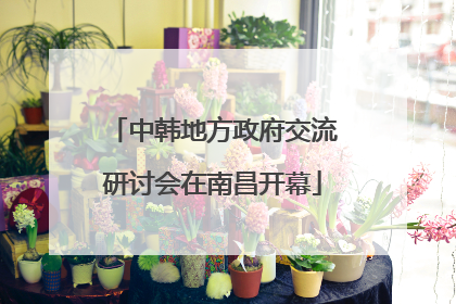 中韩地方政府交流研讨会在南昌开幕