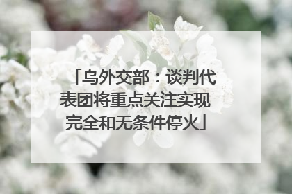 乌外交部：谈判代表团将重点关注实现完全和无条件停火