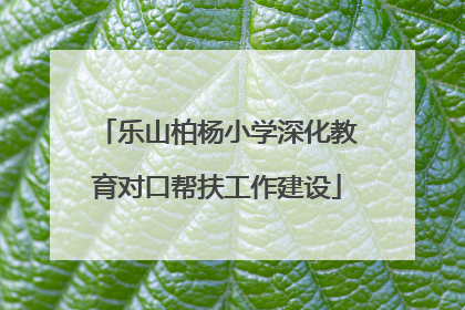 乐山柏杨小学深化教育对口帮扶工作建设