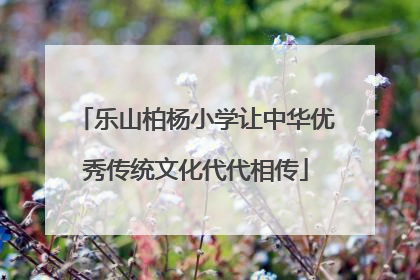 乐山柏杨小学让中华优秀传统文化代代相传