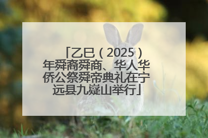 乙巳（2025）年舜裔舜商、华人华侨公祭舜帝典礼在宁远县九嶷山举行