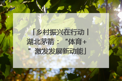 乡村振兴在行动丨湖北茅箭：“体育+”激发发展新动能
