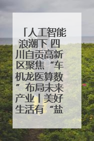人工智能浪潮下 四川自贡高新区聚焦“车机龙医算数”布局未来产业丨美好生活有“盐”味