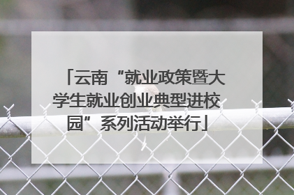云南“就业政策暨大学生就业创业典型进校园”系列活动举行