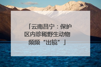 云南昌宁：保护区内珍稀野生动物频频“出镜”