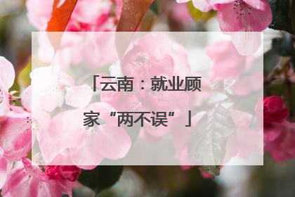 云南：就业顾家“两不误”