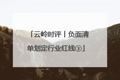 云岭时评丨负面清单划定行业红线③