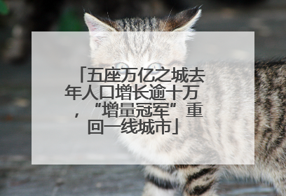 五座万亿之城去年人口增长逾十万，“增量冠军”重回一线城市