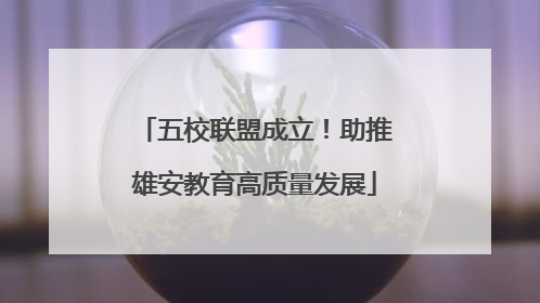 五校联盟成立！助推雄安教育高质量发展