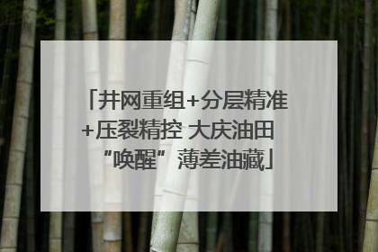 井网重组+分层精准+压裂精控 大庆油田“唤醒”薄差油藏