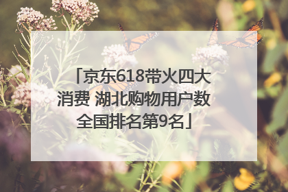 京东618带火四大消费 湖北购物用户数全国排名第9名