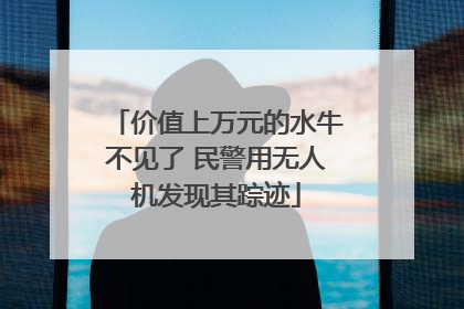 价值上万元的水牛不见了 民警用无人机发现其踪迹