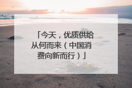 今天，优质供给从何而来（中国消费向新而行）