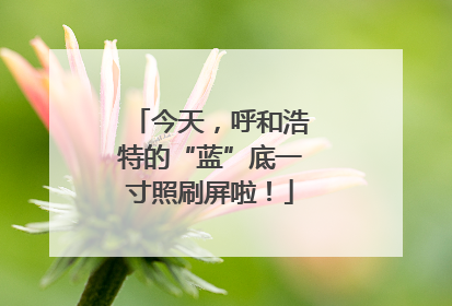 今天，呼和浩特的“蓝”底一寸照刷屏啦！