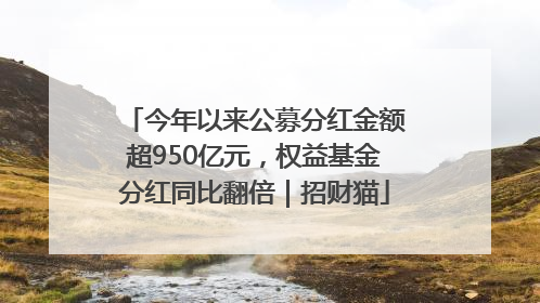 今年以来公募分红金额超950亿元，权益基金分红同比翻倍｜招财猫