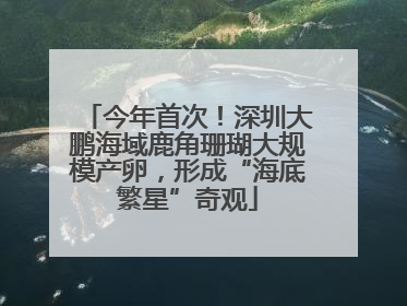 今年首次！深圳大鹏海域鹿角珊瑚大规模产卵，形成“海底繁星”奇观
