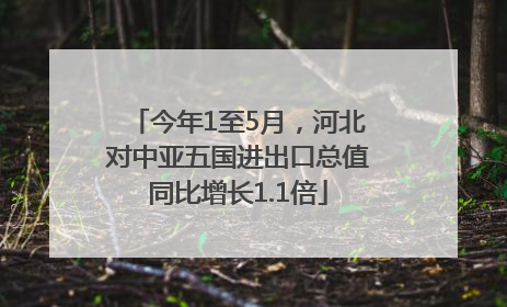 今年1至5月，河北对中亚五国进出口总值同比增长1.1倍