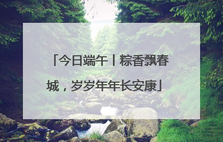 今日端午丨粽香飘春城，岁岁年年长安康