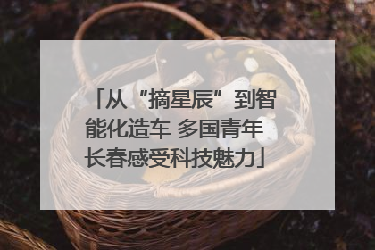 从“摘星辰”到智能化造车 多国青年长春感受科技魅力