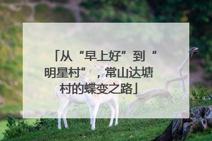 从“早上好”到“明星村”，常山达塘村的蝶变之路