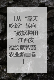 从“靠天吃饭”转向“数据种田” 江西安福绘就智慧农业新画卷