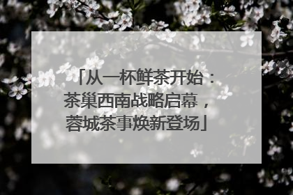 从一杯鲜茶开始：茶巢西南战略启幕，蓉城茶事焕新登场