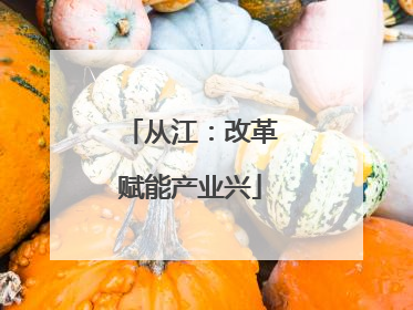从江：改革赋能产业兴