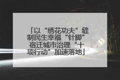 以“绣花功夫”缝制民生幸福“针脚” 宿迁城市治理“十项行动”加速落地