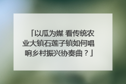 以瓜为媒 看传统农业大镇石莲子镇如何唱响乡村振兴协奏曲？