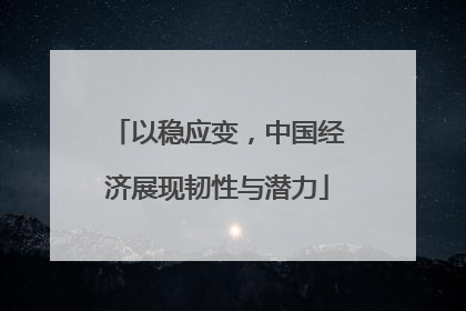 以稳应变，中国经济展现韧性与潜力