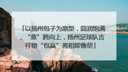 以扬州包子为原型，圆润饱满，“蒸”腾向上，扬州足球队吉祥物“包赢”亮相即售罄