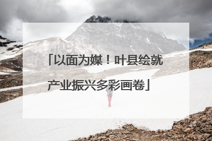 以面为媒！叶县绘就产业振兴多彩画卷
