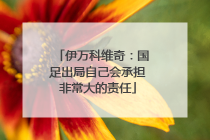 伊万科维奇：国足出局自己会承担非常大的责任