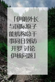 伊朗外长与国际原子能机构总干事同日到访开罗 讨论伊核问题