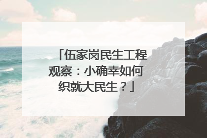 伍家岗民生工程观察：小确幸如何织就大民生？