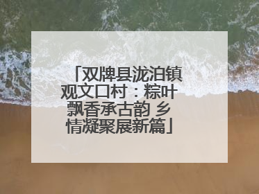 双牌县泷泊镇观文口村：粽叶飘香承古韵 乡情凝聚展新篇