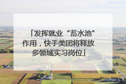 发挥就业“蓄水池”作用,快手美团将释放多领域实习岗位