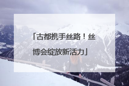 古都携手丝路！丝博会绽放新活力