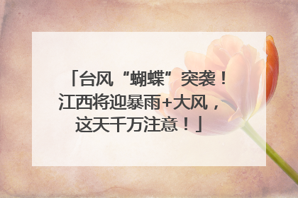 台风“蝴蝶”突袭！江西将迎暴雨+大风，这天千万注意！