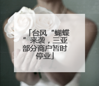 台风“蝴蝶”来袭，三亚部分商户暂时停业