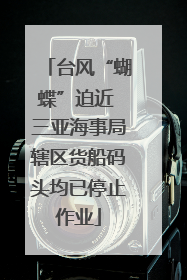 台风“蝴蝶”迫近 三亚海事局辖区货船码头均已停止作业