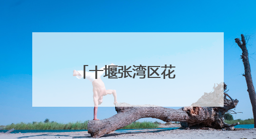 十堰张湾区花果街道开展“东风故里育新风”品牌宣讲活动