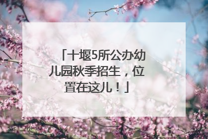 十堰5所公办幼儿园秋季招生，位置在这儿！