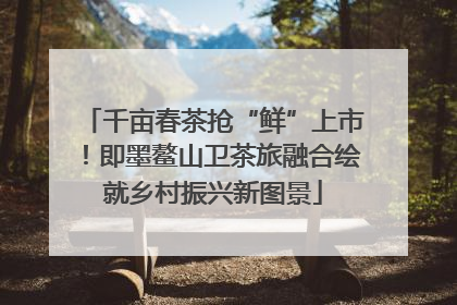 千亩春茶抢“鲜”上市！即墨鳌山卫茶旅融合绘就乡村振兴新图景