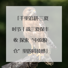 千里追耕·三夏时节丨战三夏保丰收 探索“中原粮仓”里的科技感