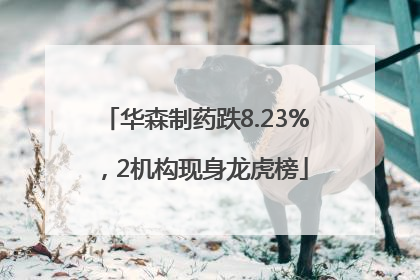 华森制药跌8.23%，2机构现身龙虎榜