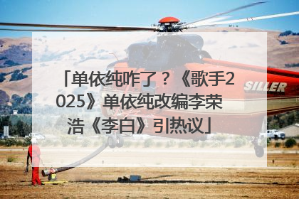单依纯咋了？《歌手2025》单依纯改编李荣浩《李白》引热议