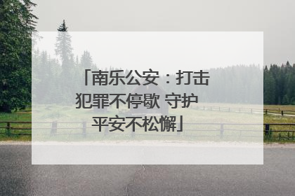 南乐公安：打击犯罪不停歇 守护平安不松懈