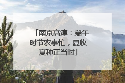 南京高淳：端午时节农事忙，夏收夏种正当时
