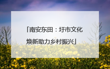 南安东田：圩市文化焕新助力乡村振兴